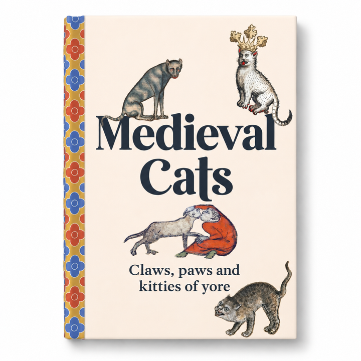 Medieval Cats By Dr Catherine Nappington
