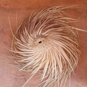 Moroccan Palm Shade - Two Sizes