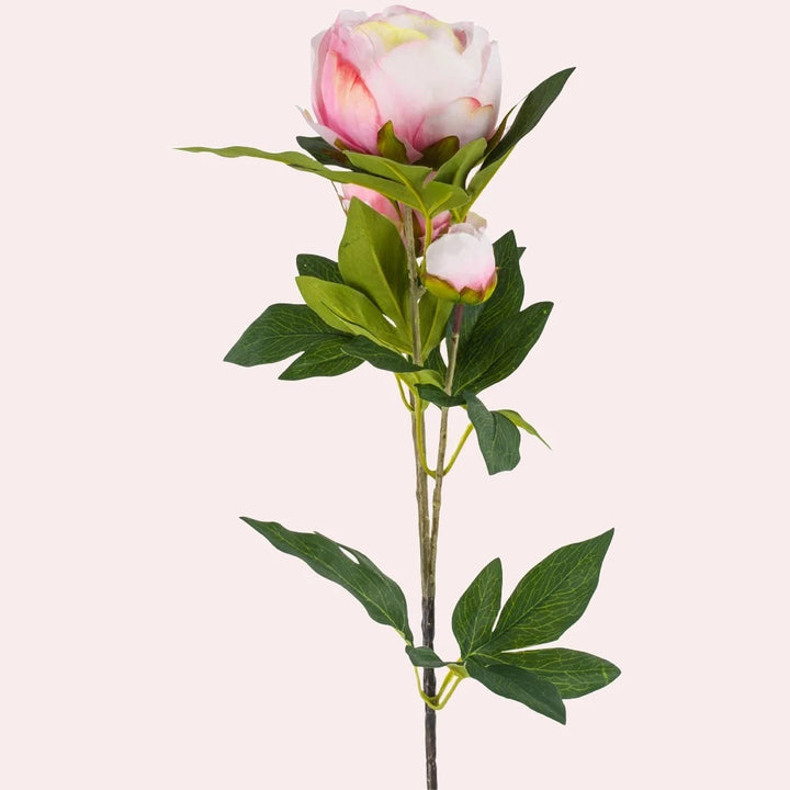 Faux Peony Stem