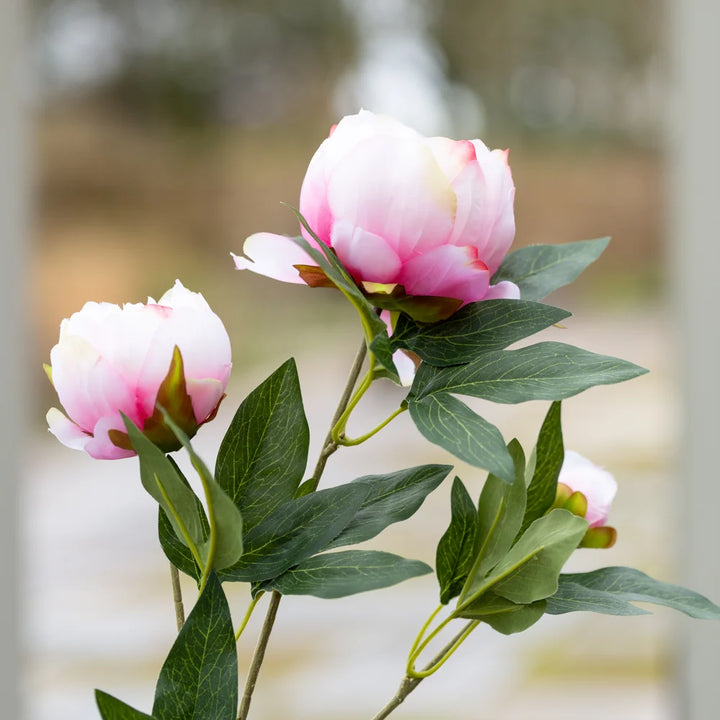 Faux Peony Stem