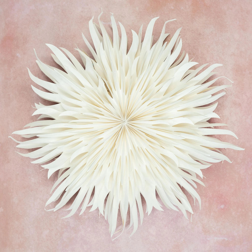 Peony White Paper Wall Decoration 70cm