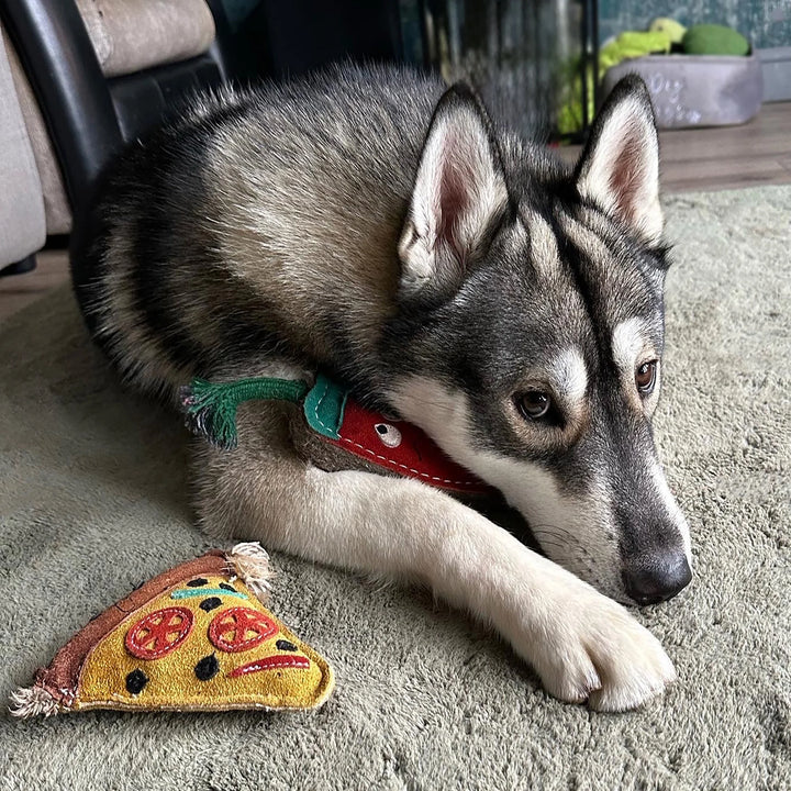Pepe Le Pizza Eco Dog Toy