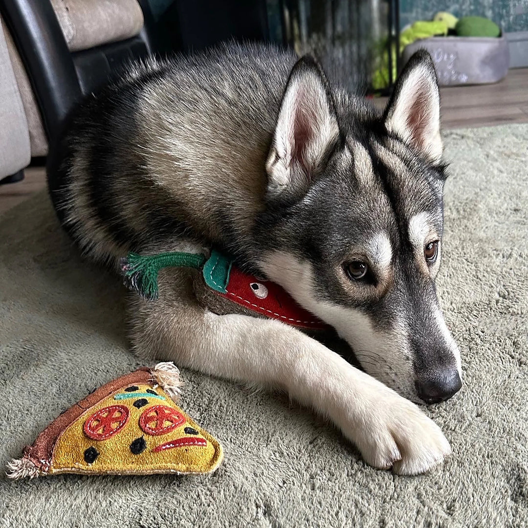 Pepe Le Pizza Eco Dog Toy