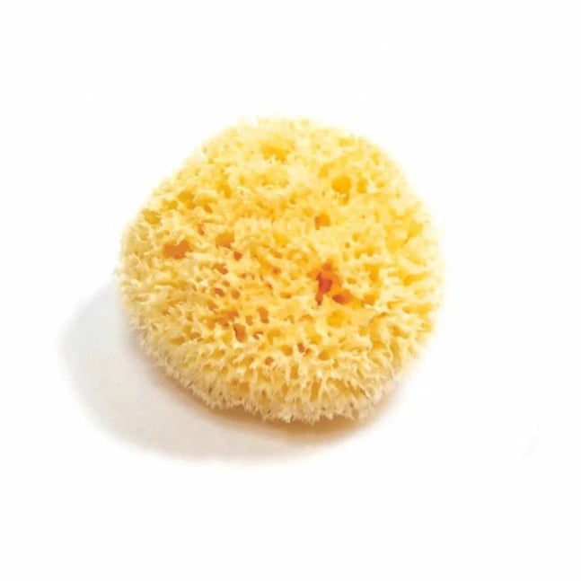 Organic Sea Sponge