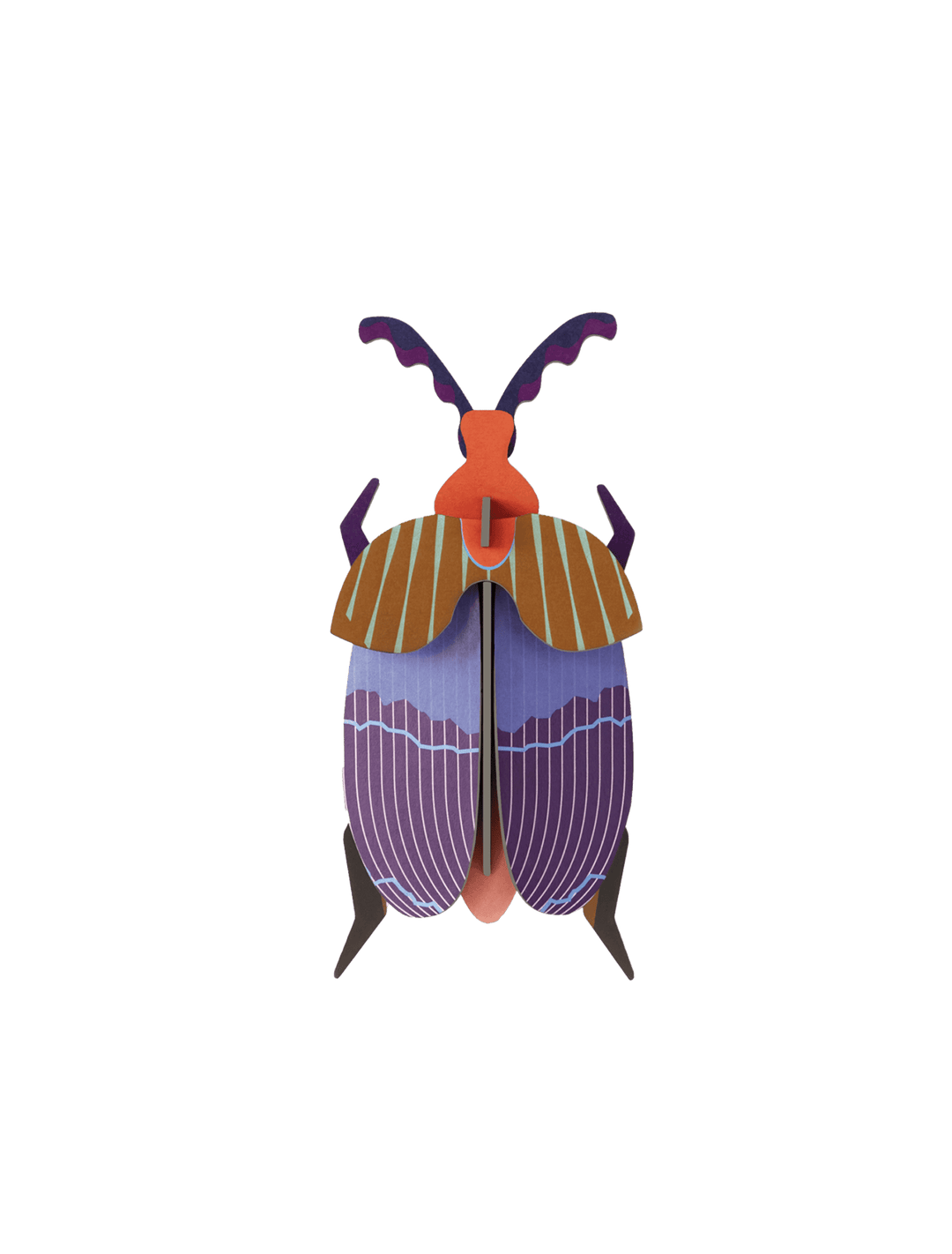 Queen Beetle 3D Model Kit