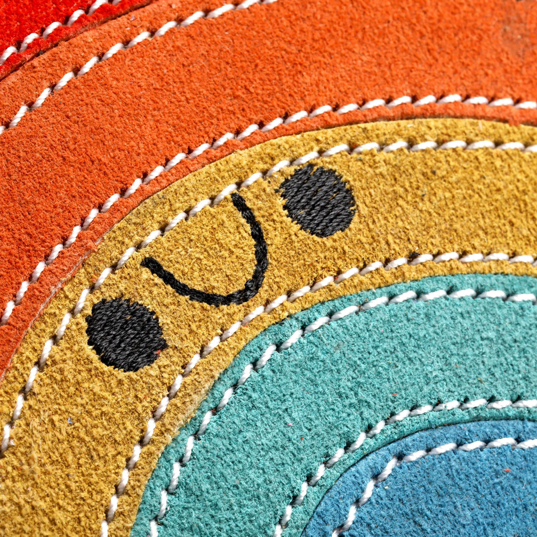 Rainbow Warrior Eco Dog Toy