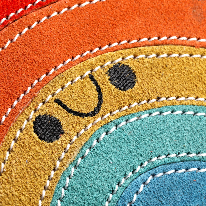 Rainbow Warrior Eco Dog Toy