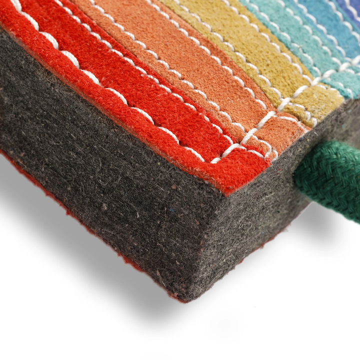 Rainbow Warrior Eco Dog Toy