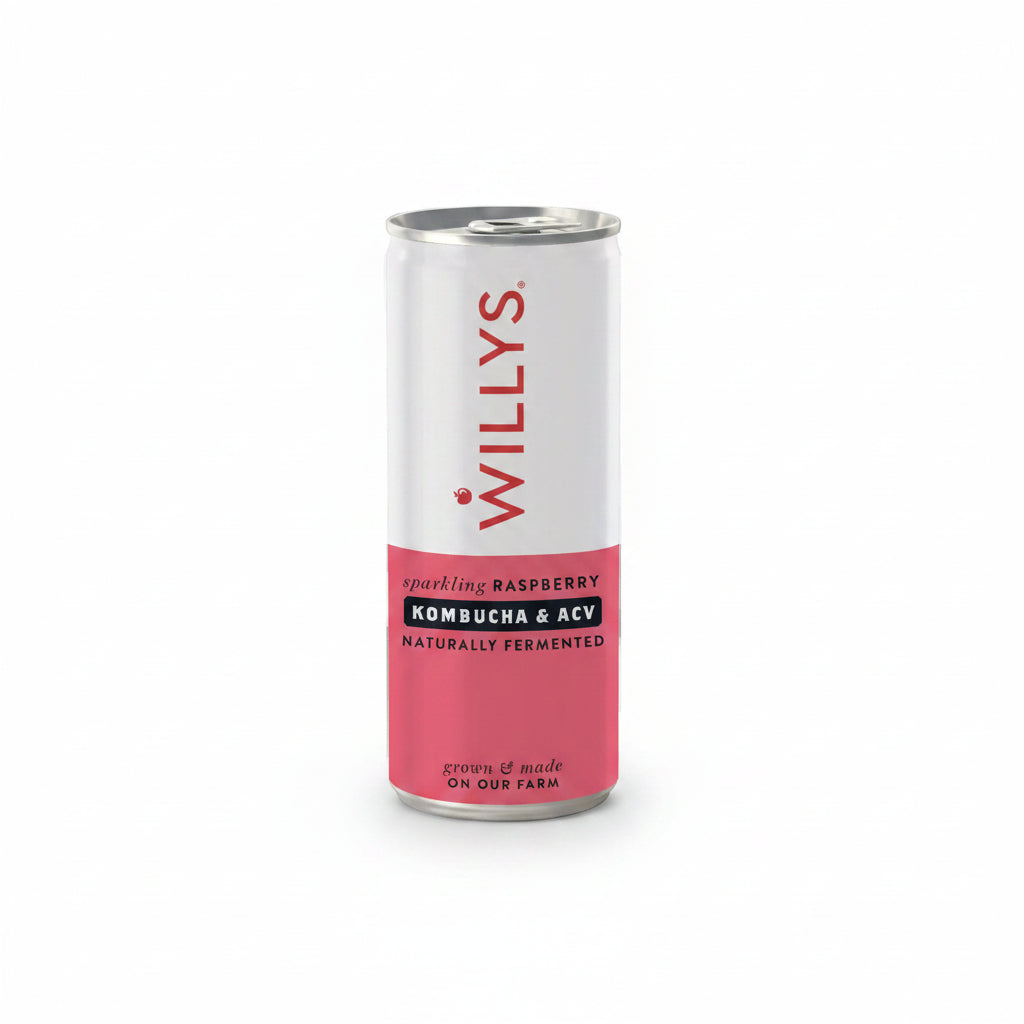 Willy's ACV Fermented Raspberry Switchel 
