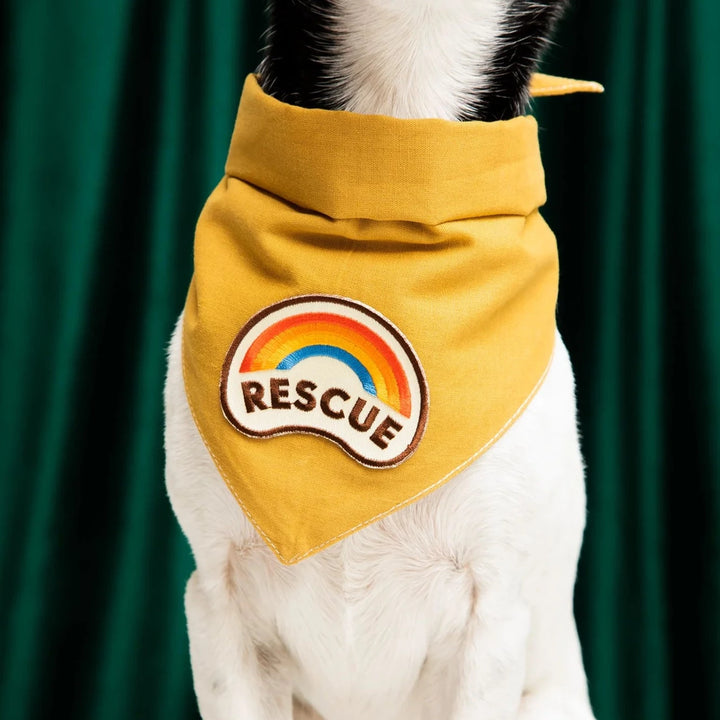 Rescue Iron-On Patch for Dogs