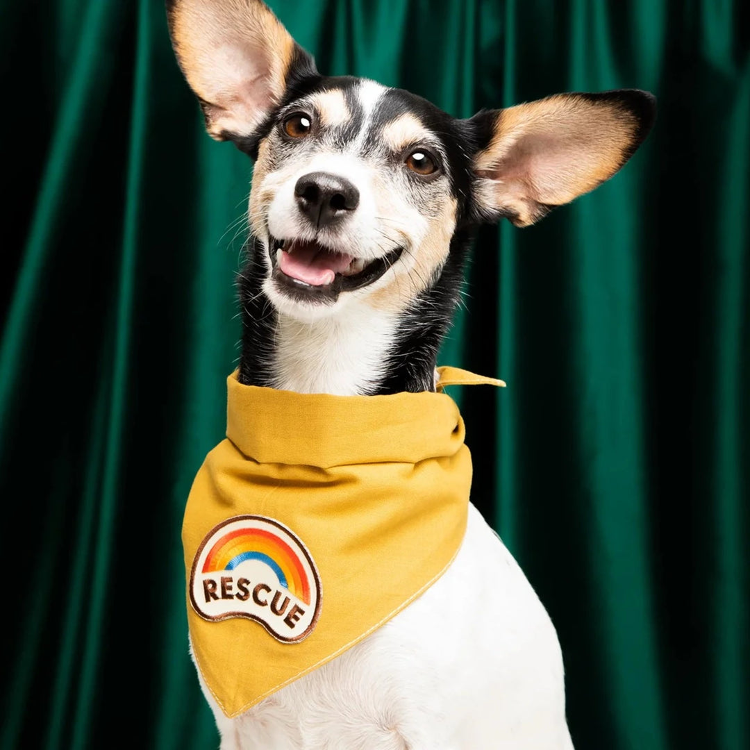 Rescue Iron-On Patch for Dogs