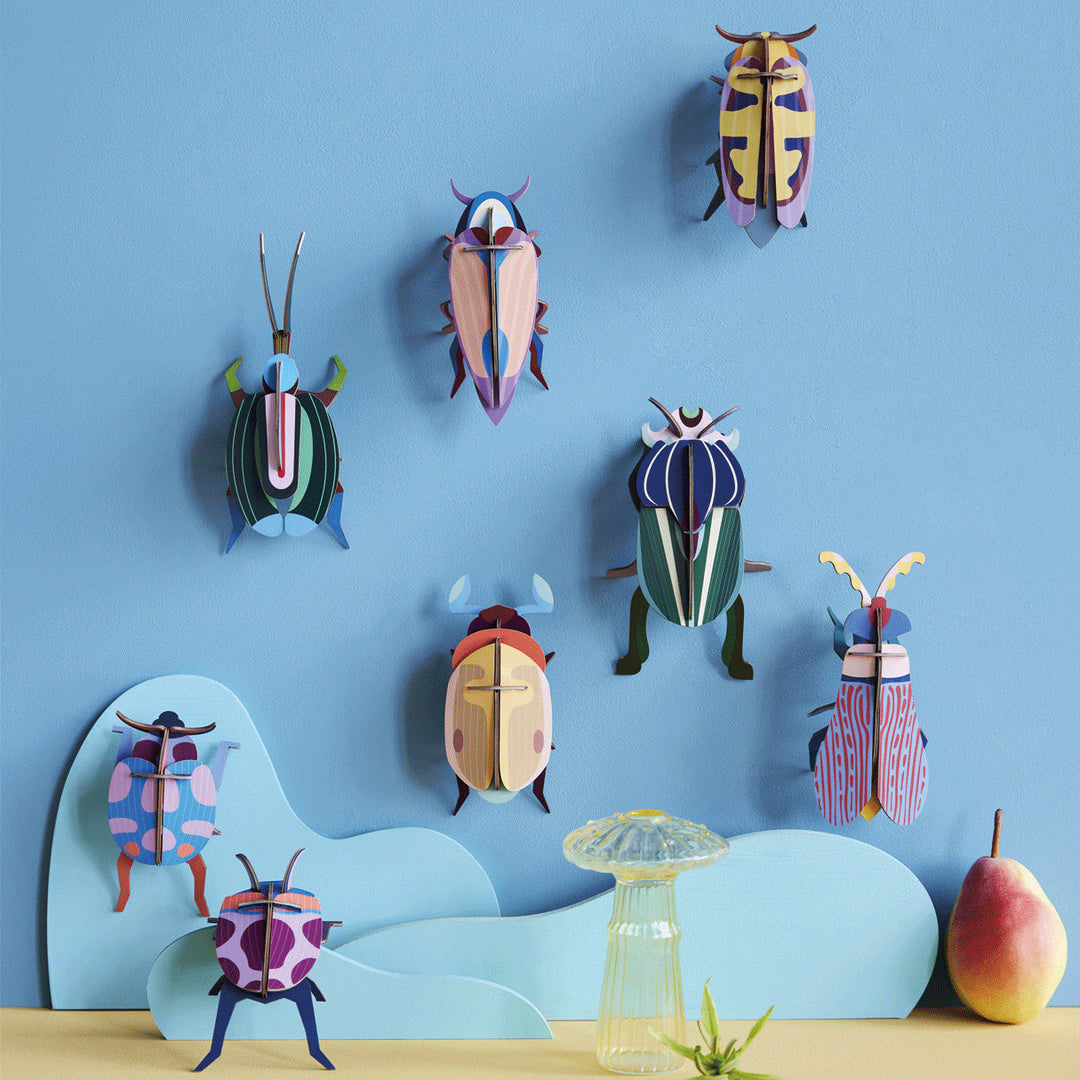 Mango Flower Beetle 3D Model Kit