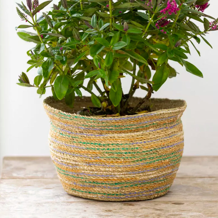 Seagrass & Cotton Planter - Multicoloured