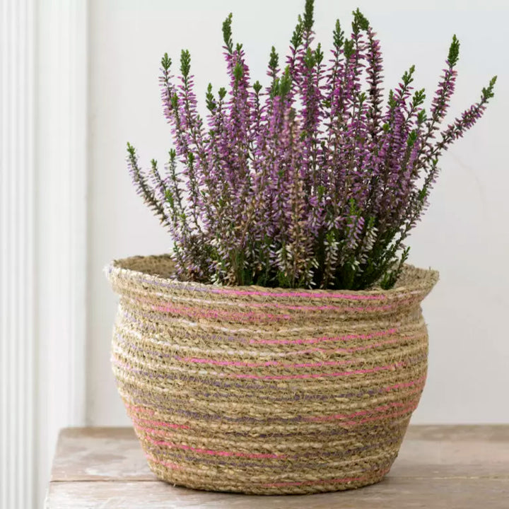 Seagrass & Cotton Planter - Pink Mix