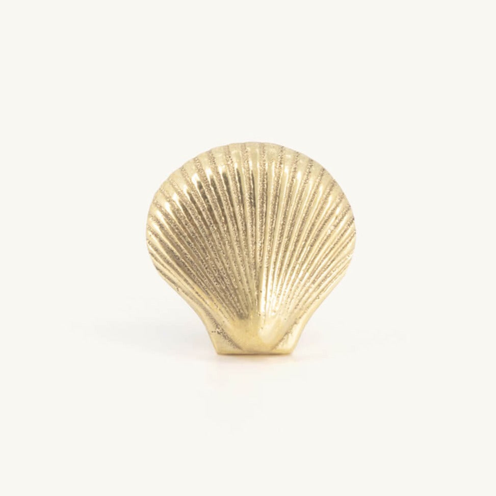 Shell Knob