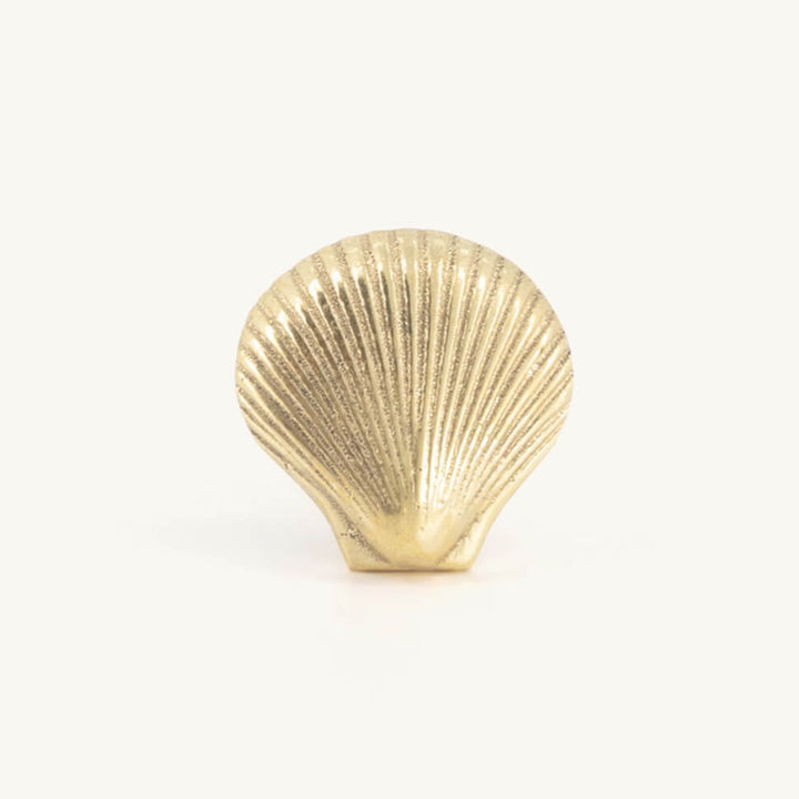 Shell Knob