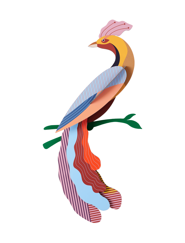 Nusa Paradise Bird 3D Model Kit