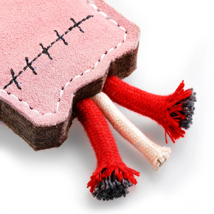 The Hand Eco Dog Toy