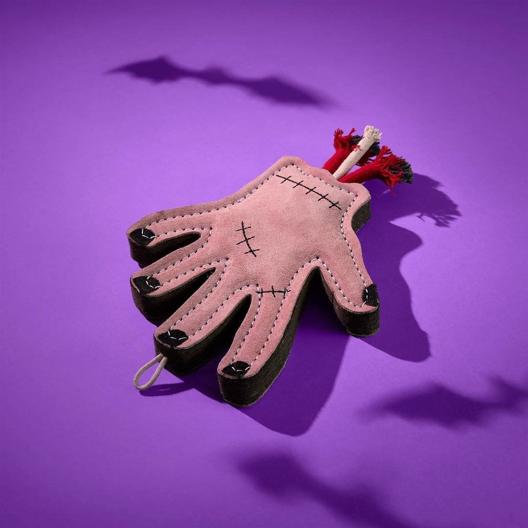 The Hand Eco Dog Toy