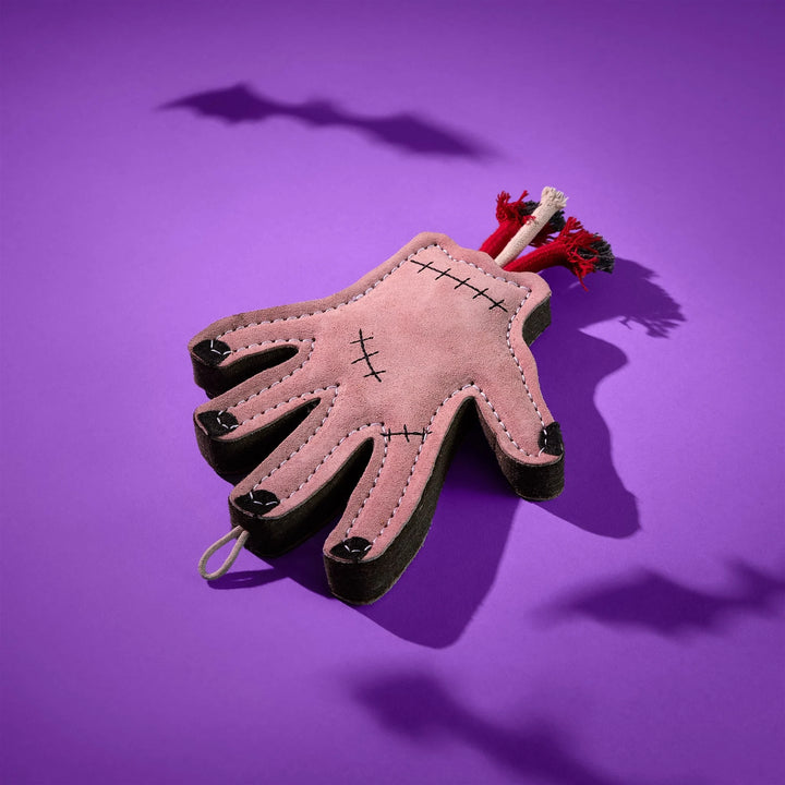 The Hand Eco Dog Toy