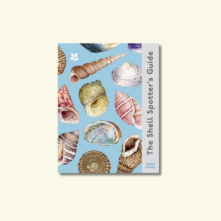 The Shell Spotter's Guide