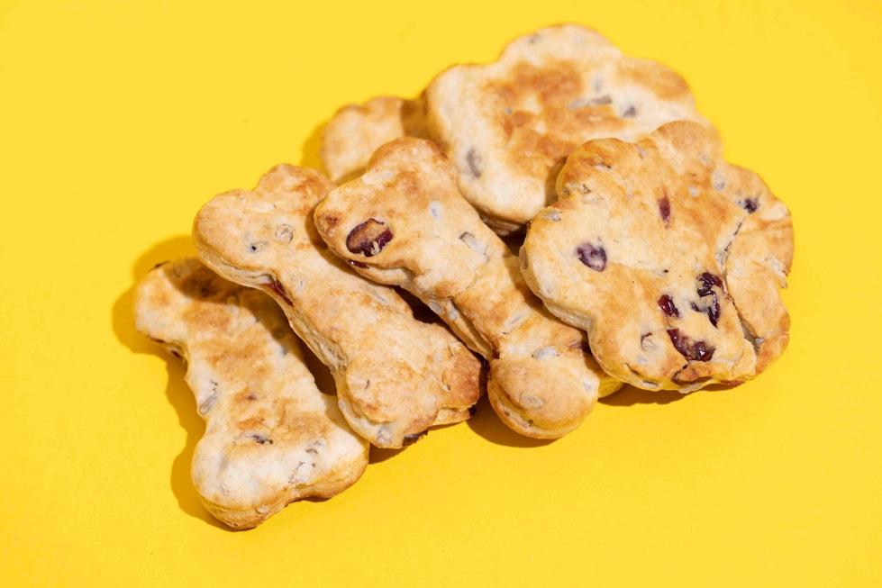 Wallace & Gromit Cheezy Cranberry Biscuit Doggy Baking Mix