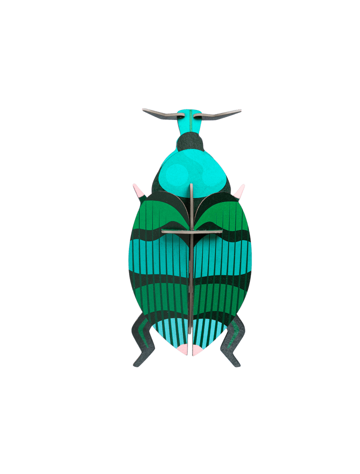 Weevil Beetle 3D Model Kit