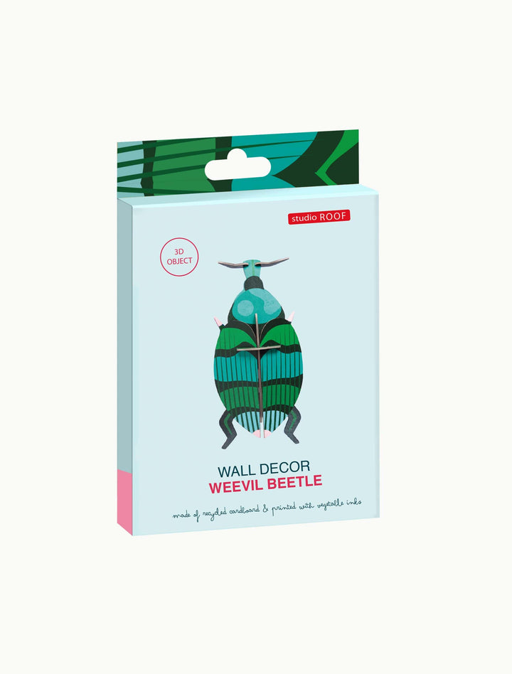 Weevil Beetle 3D Model Kit