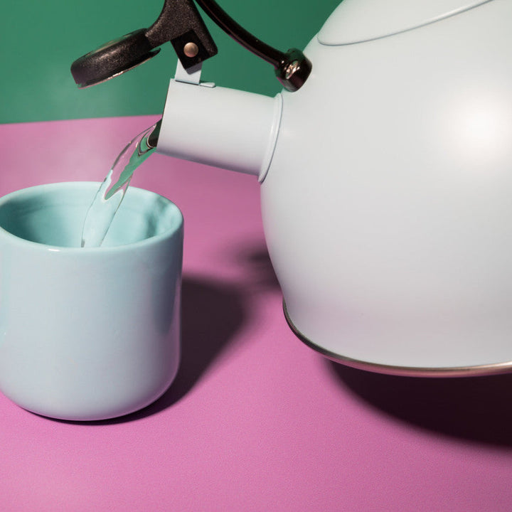 Whistling Kettle in Sky Blue 1.6L
