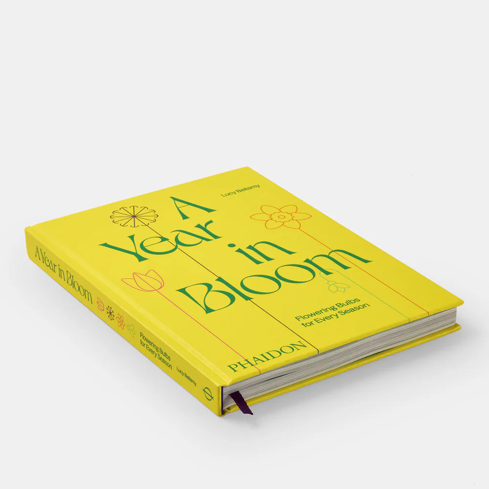 A Year in Bloom: Seasonal Flowering Bulbs