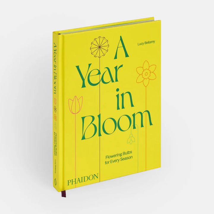 A Year in Bloom: Seasonal Flowering Bulbs