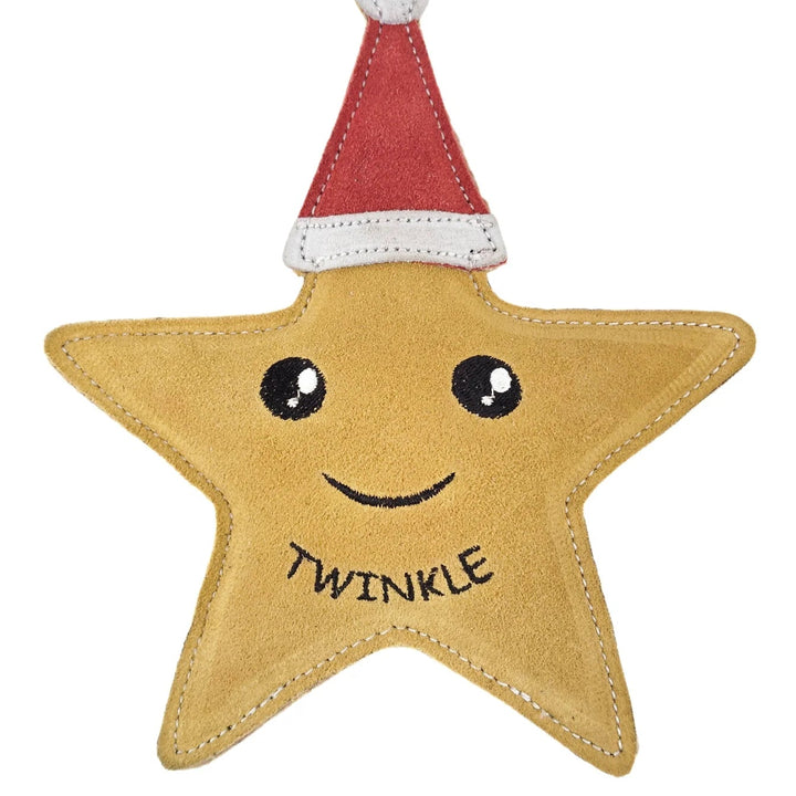 Twinkle the Star Eco Dog Toy