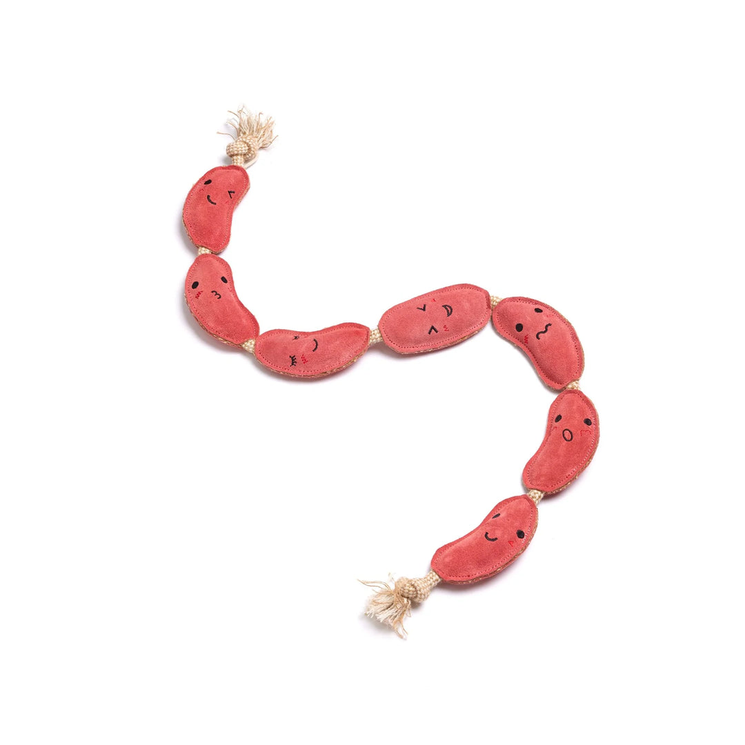 Sizzle Sisters Eco Dog Toy