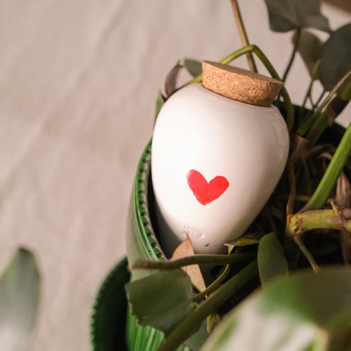 Olla Plant Watering Spike | Heart