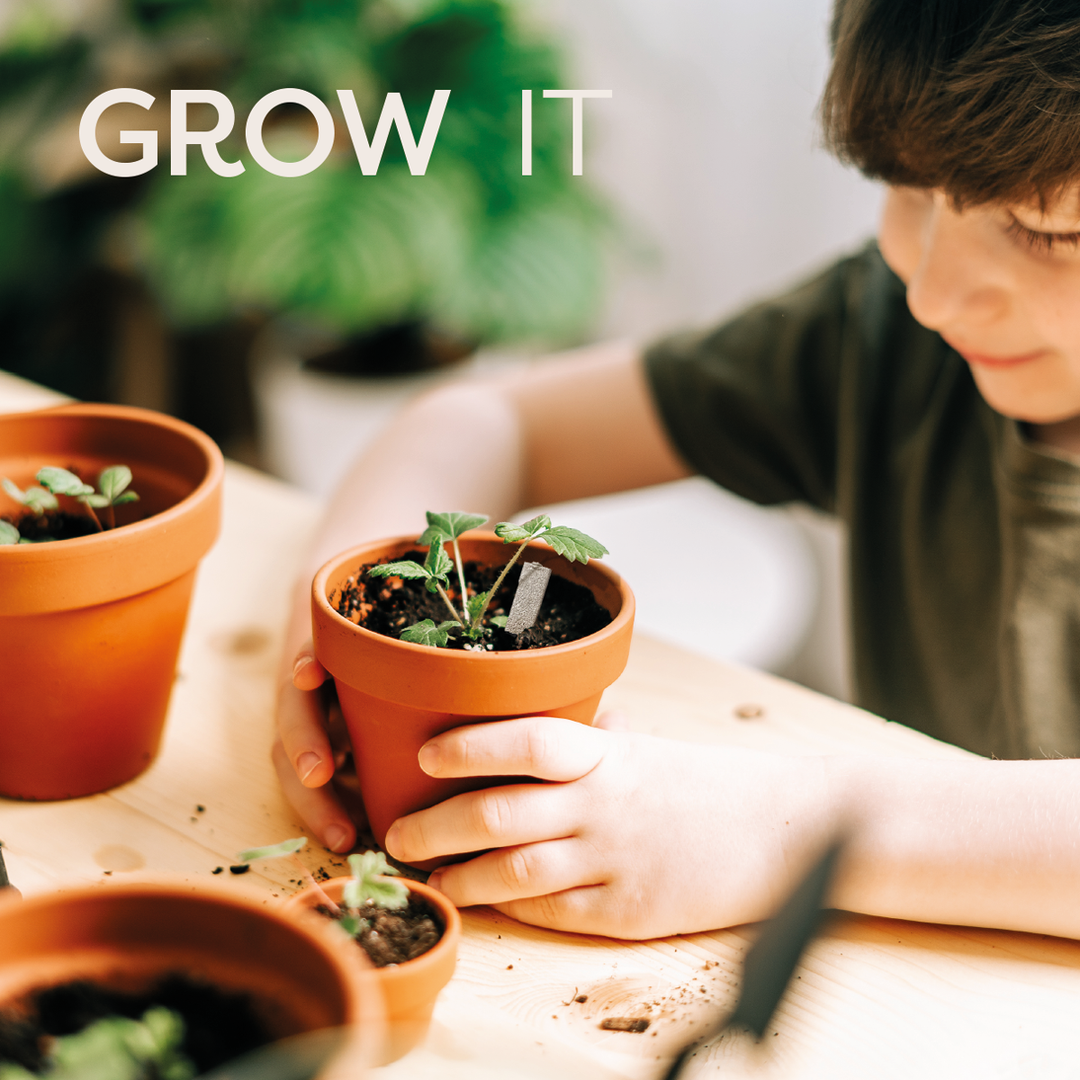 Butterfly Seedsticks®