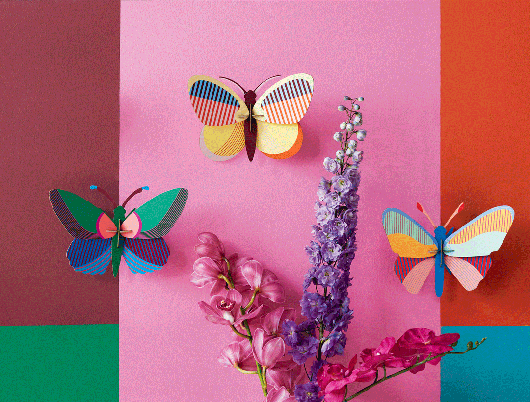 Hapi butterfly Butterfly 3D Model Kit