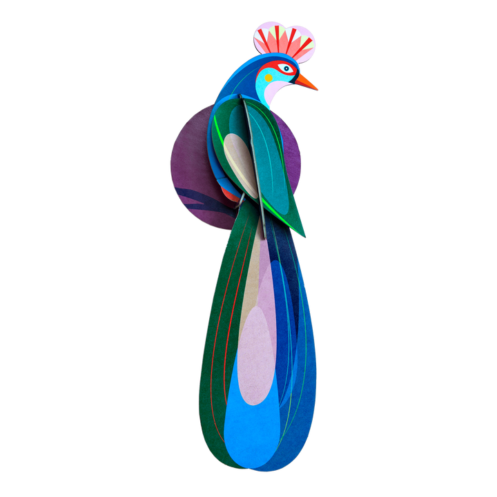 Banda Bird 3D Model Kit