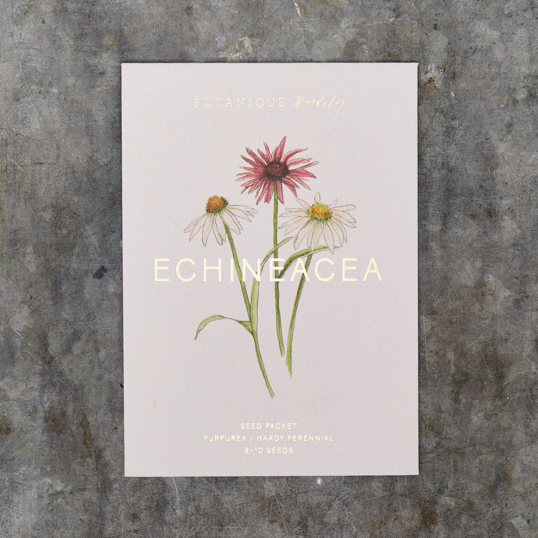 Echineacea Purpurea Seed Packet