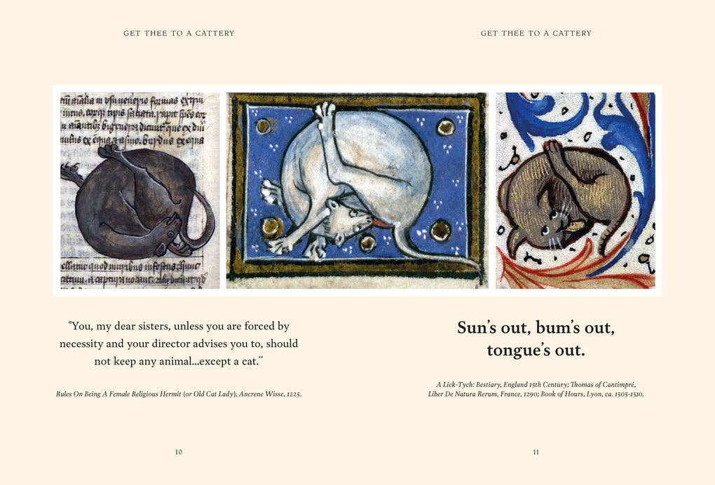 Medieval Cats By Dr Catherine Nappington