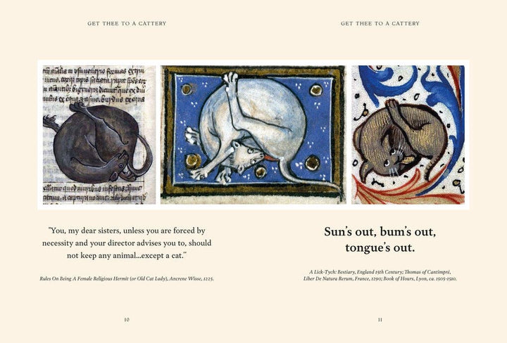 Medieval Cats By Dr Catherine Nappington