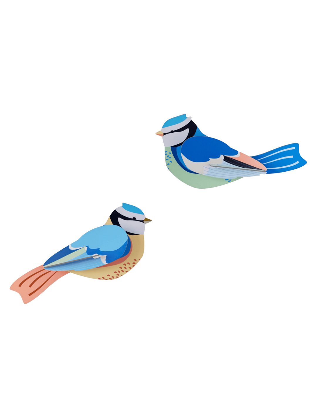 Blue Tits Set 3D Model Kit