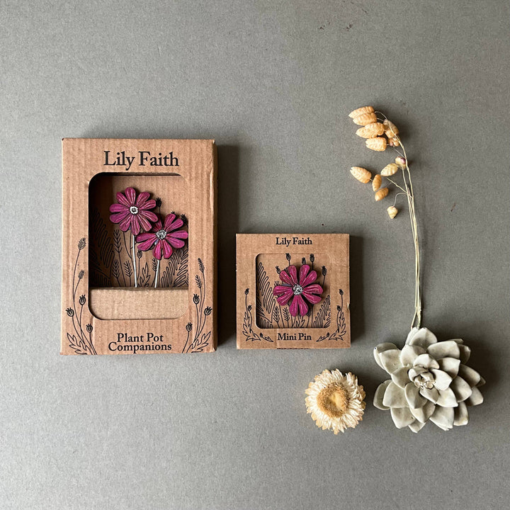 Red Campion Plant Pot Companions 