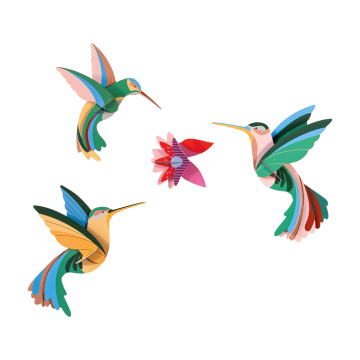 Dance of Hummingbirds 3D Model Kit