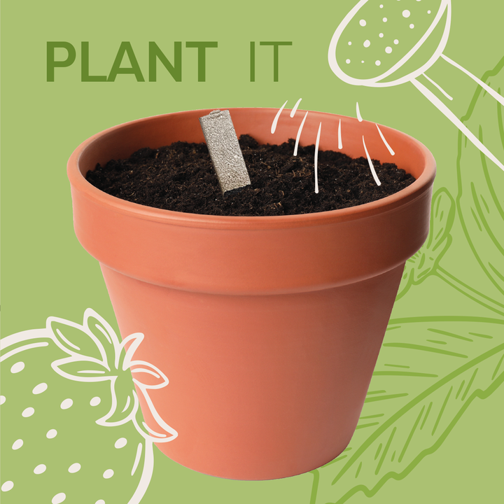 Butterfly Seedsticks®