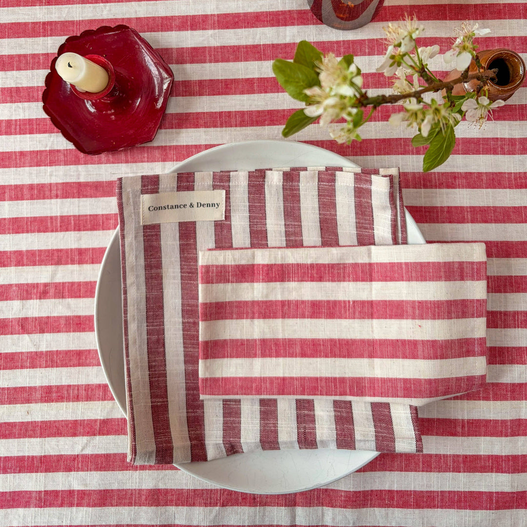 Clay Stripe Cotton Napkins - Set of 4
