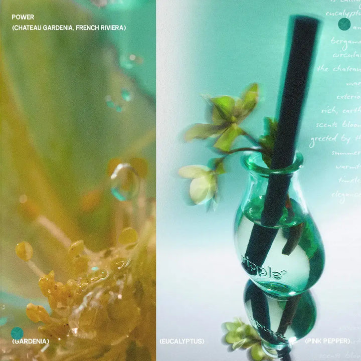 Power Reed Diffuser – Gardenia