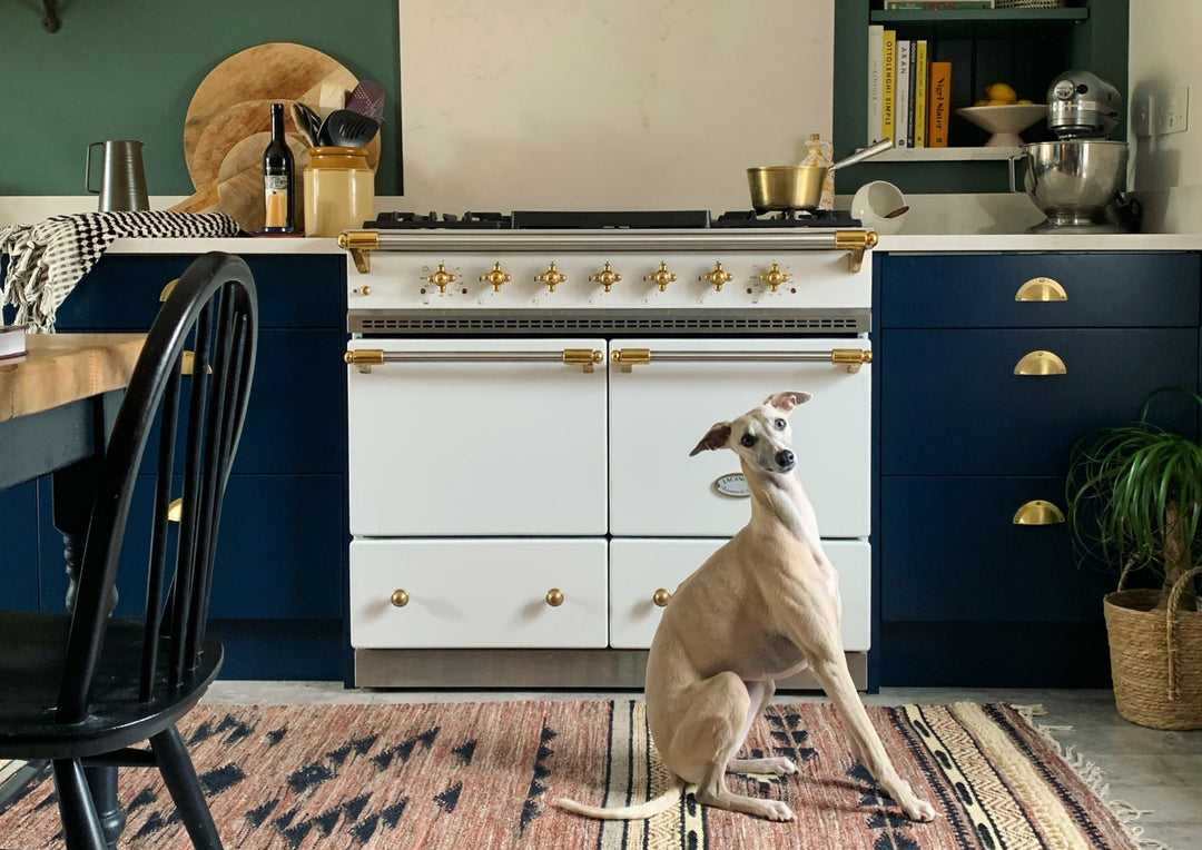 a dog sitting infront of a lacanche range cooker in white and brass in a stylish kitchen featuring navy cupboards with brass accents