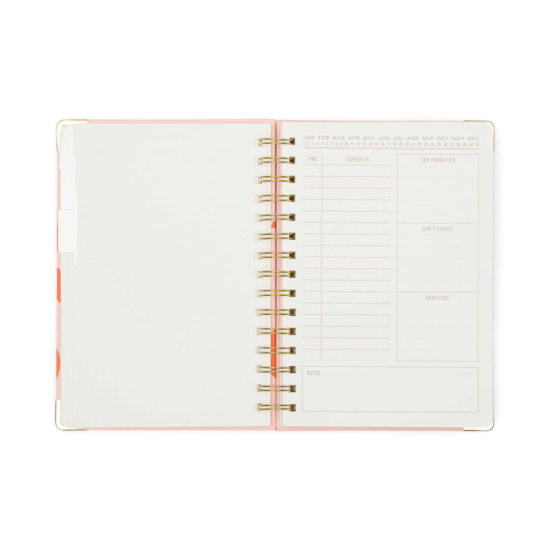 Undated Perpetual Planner - Plans