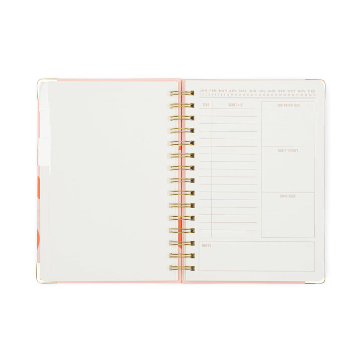 Undated Perpetual Planner - Plans