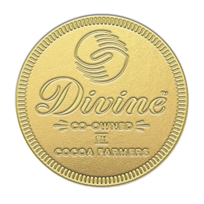 Giant Chocolate Gold Coin